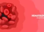Top hematology